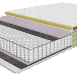 matracis plus virsmatracis